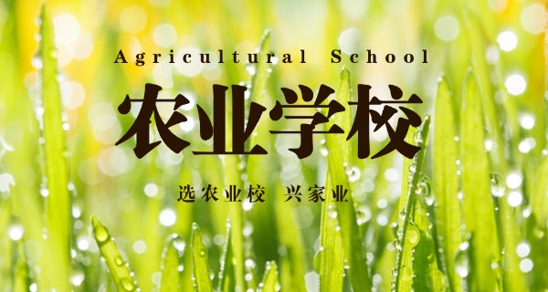 百色农校学费一般多少钱一年-百色农校学费约多少