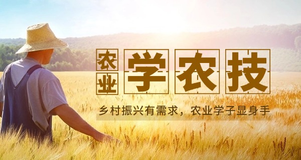 阜 阳农校学费多少