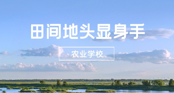 湖南农校专科学费多少钱一年(湖南农校专科学费多少钱)