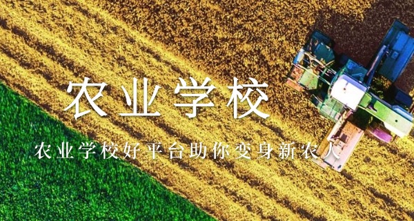 农校属于什么学历(农校属中专学历)