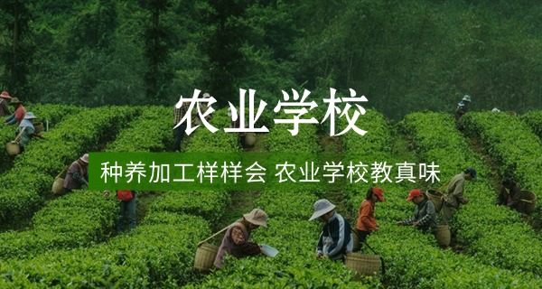 龙岩农校畜牧兽医学费(龙岩农校畜牧费)