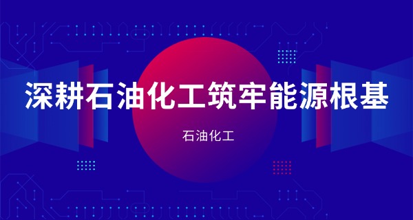 四 川的石油学校有什么专业