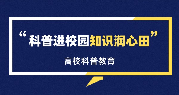 合 肥文达电脑学校老校区地址
