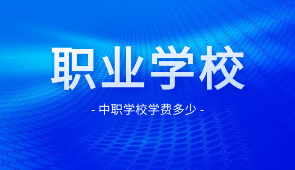 职 校学院不能报名